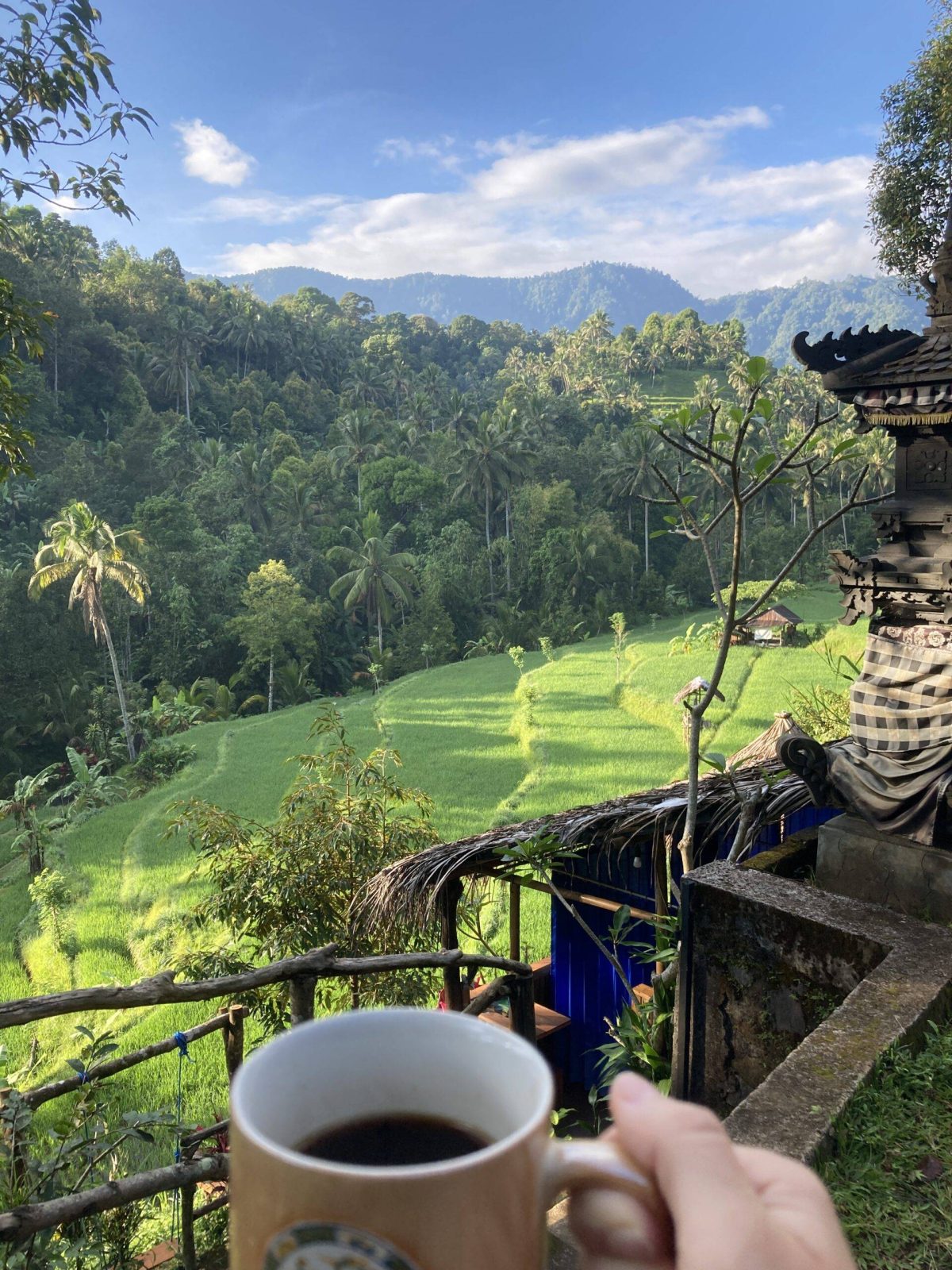 Bali Kaffee Vegan Food